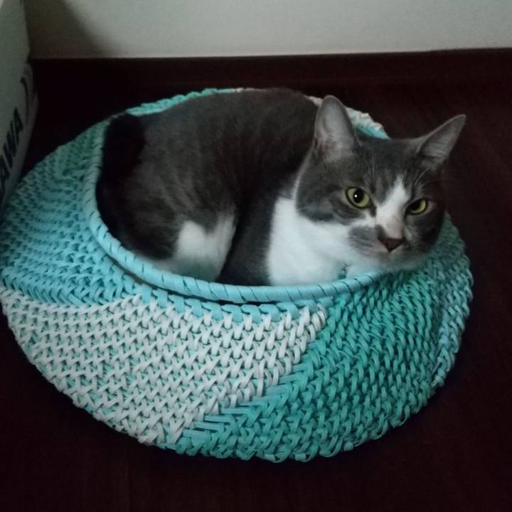 D61715fa 73a5 4049 b94a d0941167d3c7 1622753197142