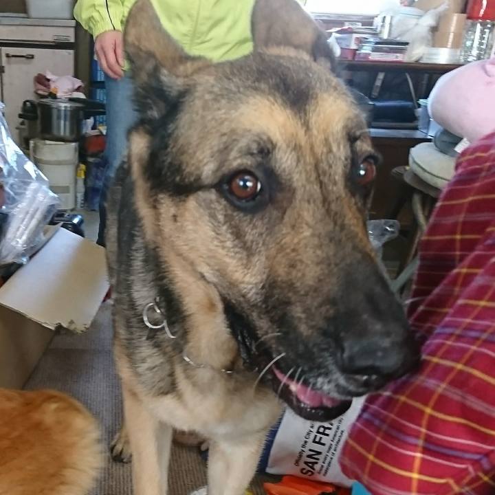 D6172616 add0 4505 a8ef ec1316988d30 1515901475964