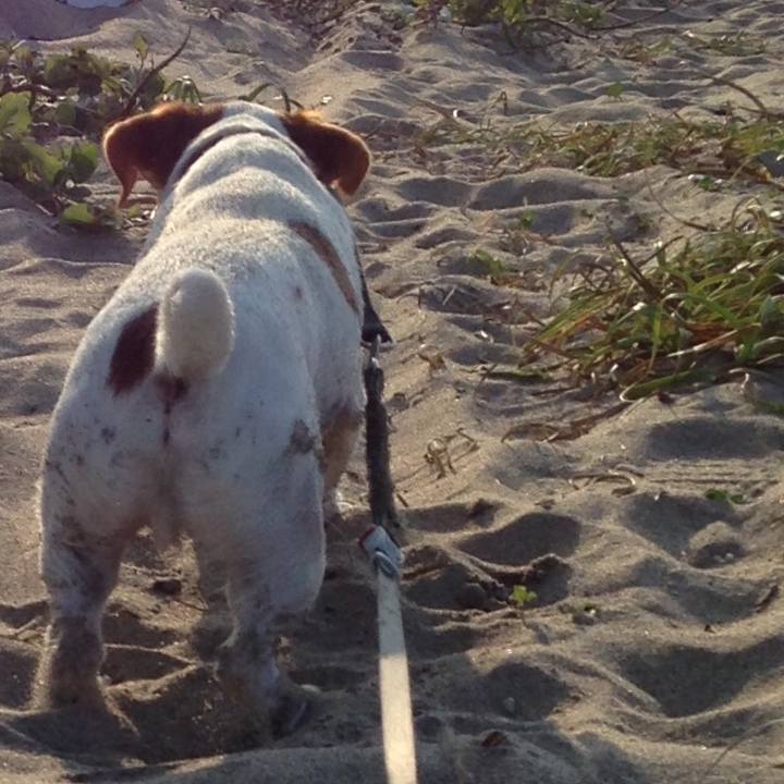 D617868c c1f8 43cf 94a0 b3d1b024bff3 1540280715579