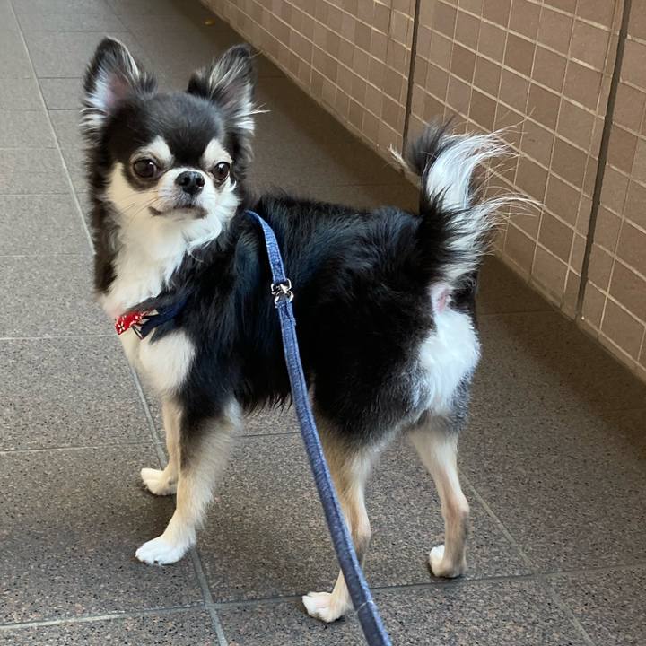 D617c749 64bd 493f 8875 9991ad1be8b2 1672482402365