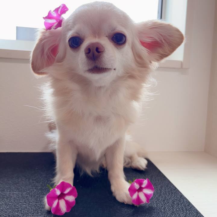 D617f9e9 2c72 49f7 8e0c a59a4ec70e1e 1719631753644