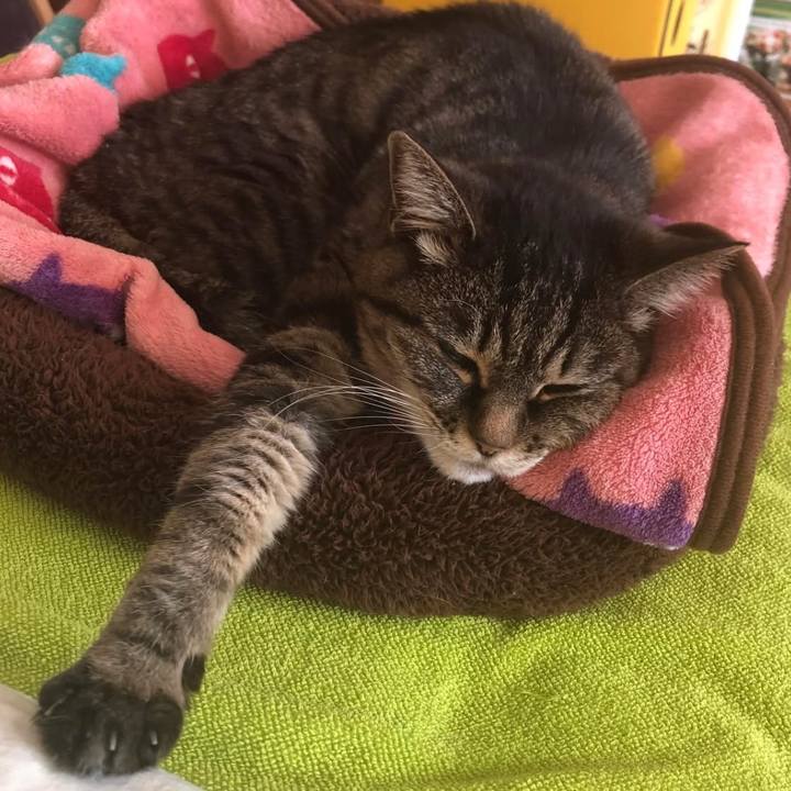 D6181d2f b02a 4b9c a28e dc762db1b610 1765547715380