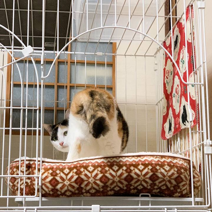 D6182ab2 da2b 4532 b1b8 5d49357c2477 1574042188570