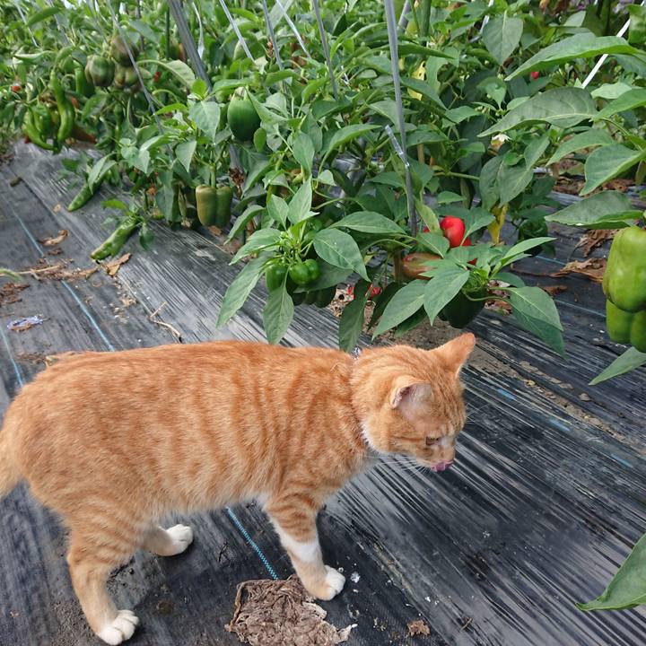 D6183964 363a 44cd a328 b6da8bccfe8d 1569014588065