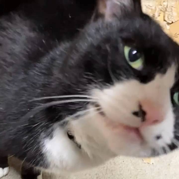 D6189046 f135 402c a192 95c1731d28ad 1741081064496