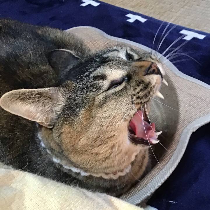 D6189a71 bf18 4cc9 8fba 681c8cfe108a 1737704913302