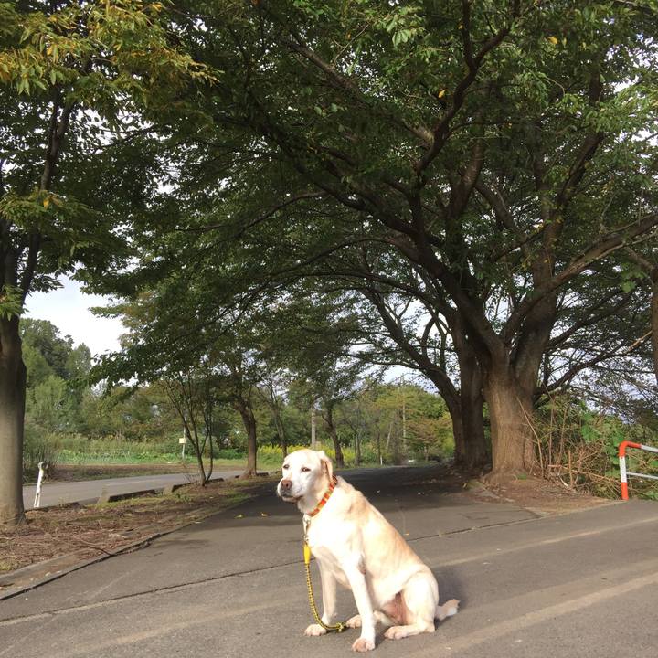 D618b611 e0b0 45c9 803c aecec0260f5c 1538896149511