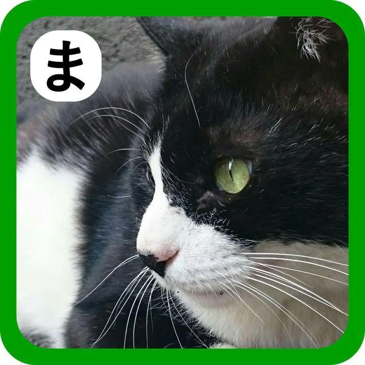 D618e004 7bae 4290 ab3d aa3f6416e00a 1515206586434