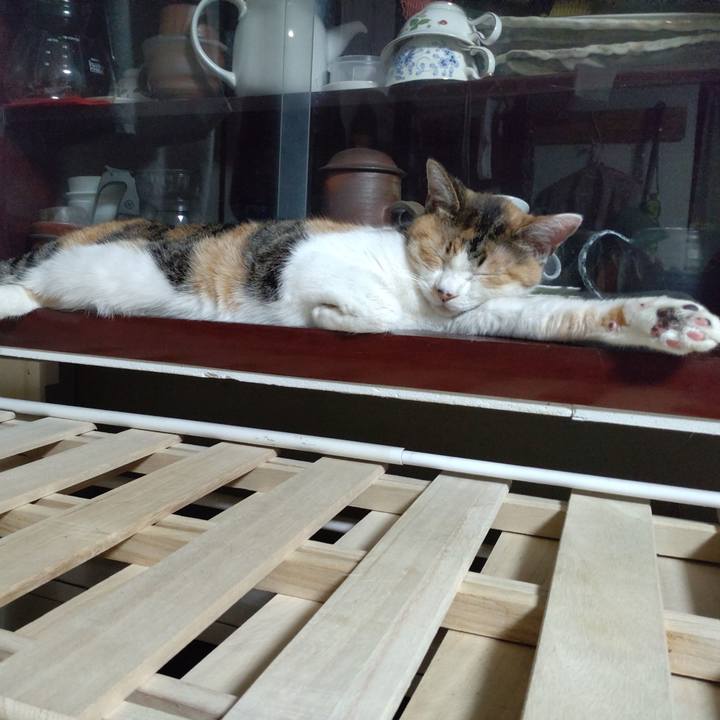 D618ee4e 694e 4951 be56 6f2e291d3131 1641036571128