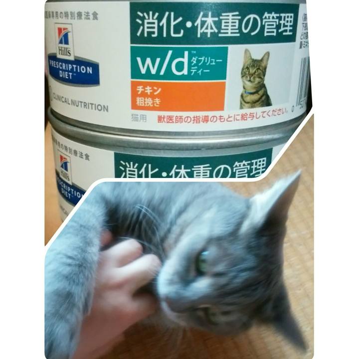 D6193333 6f37 4ae9 88ec 433159feab2a 1537668557955