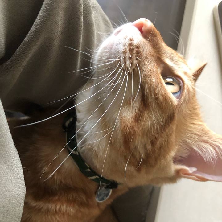 D6196088 0b8e 4f66 a6e5 1c6ac53e0b38 1632654925823