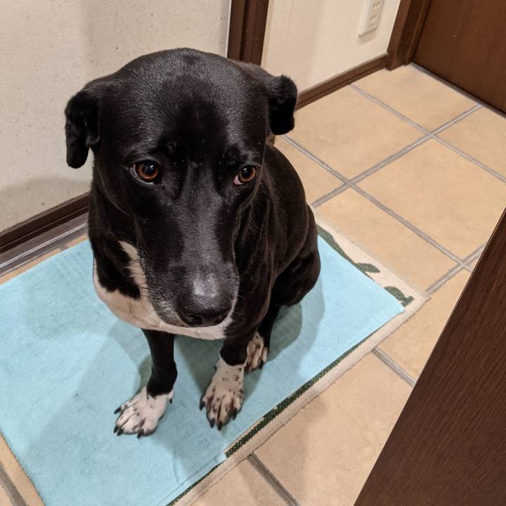 D61966d7 54a5 48e1 911c 3d728076fc60 1635071623793