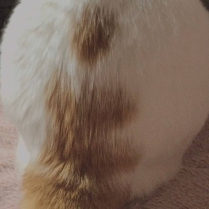 D6198483 bcac 4492 8583 eb81ce90078d 1610209556279