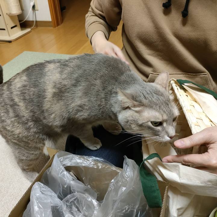 D619dc94 6bbd 4bf6 ad18 80565140c9c7 1667879428658