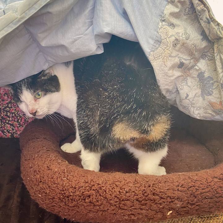 D619f64e 2c16 4d84 8626 4c2b7e5a209b 1616813465125