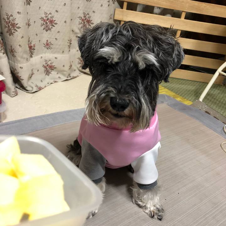 D61a2e8c 3ddb 458d b61d 5c8119ba0c20 1618669663846