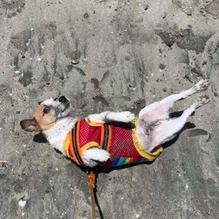 D61a3177 ee6e 4868 865e bd8d51efcccd 1718188092441