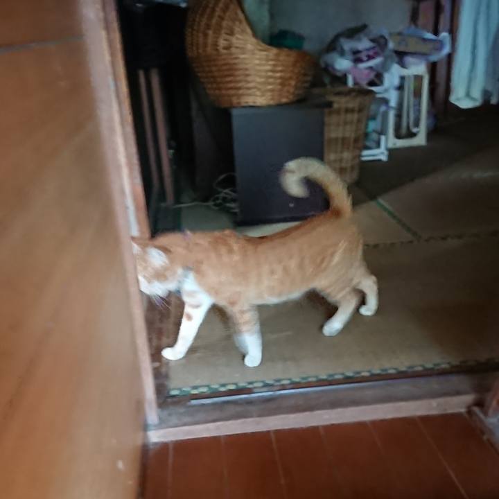 D61a749b 8db1 4d9c a294 6dc1ad301eae 1568105728230