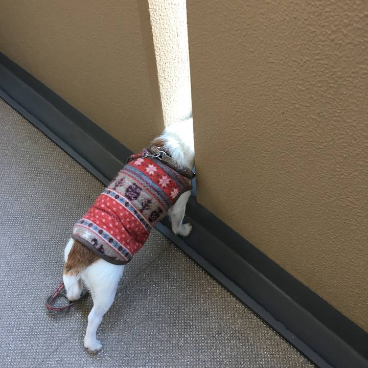 D61a7af0 ce38 4bc0 9ae9 c3c039557496 1612308576958