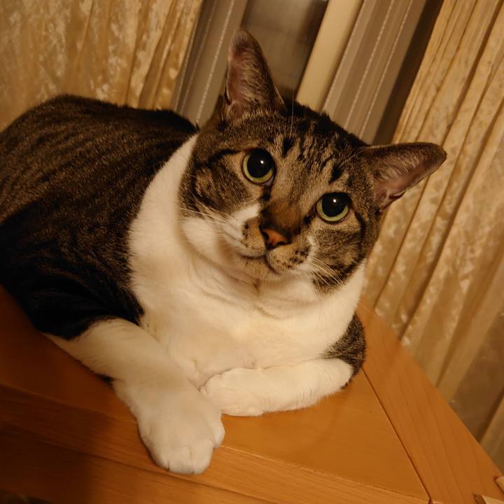 D61a9861 7ce5 4951 b9f9 a59fe6990597 1598521833077