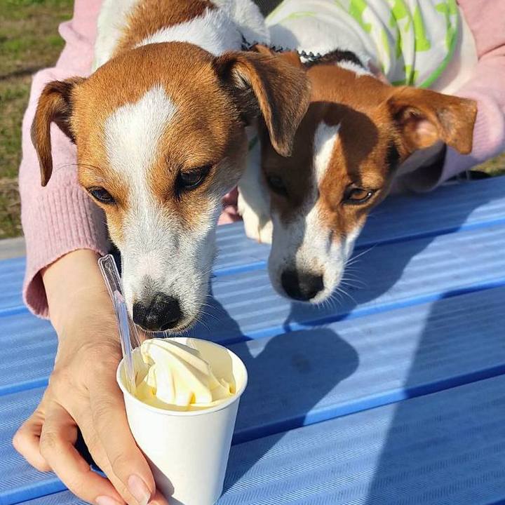 D61aae72 eb30 491d bee8 4410eadf1773 1762504414567