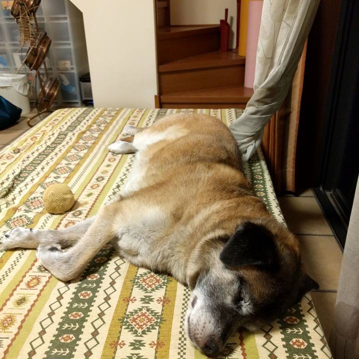 D61ae54d 63f3 468b bc49 a543e66c62a9 1530921365129