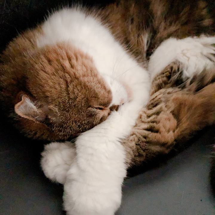 D61af9ba db99 4f64 9983 3b18f2f2048f 1592039742502