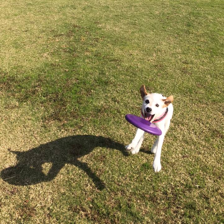 D61b5594 e2f1 4650 8f4d 66a0fc4bc3ae 1541931101123