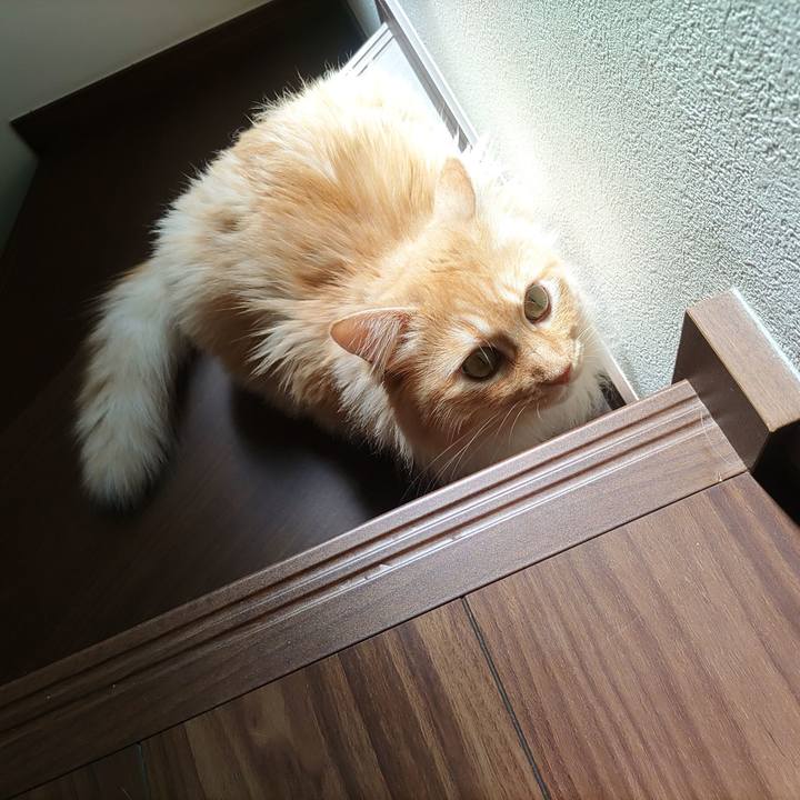 D61b630a f8bb 426a 9cd7 588b3a0d60da 1656118984254