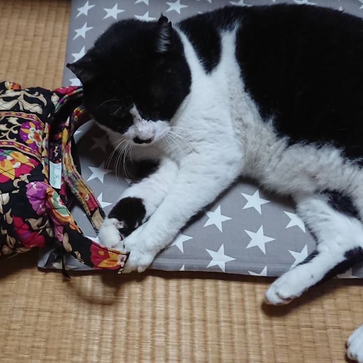 D61b914f 290f 447e 81a2 0526158cb6f2 1600680648501