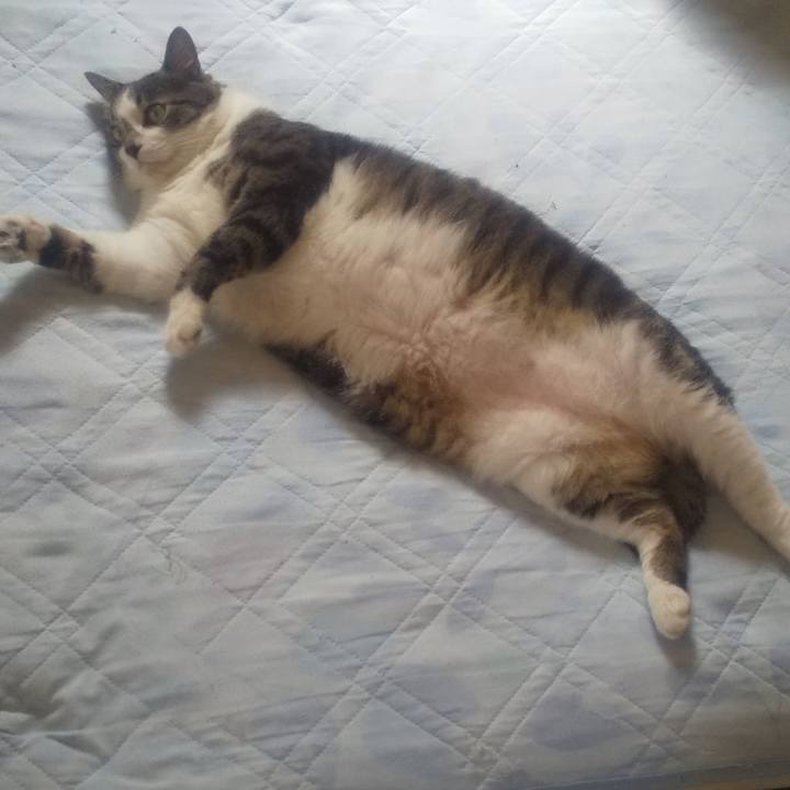 D61bb671 74b3 4459 a95c 88bc33f90404 1689061759147