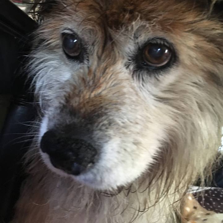 D61bc7cf ae3d 4a4f afa9 2746bc8d72a9 1613265599794