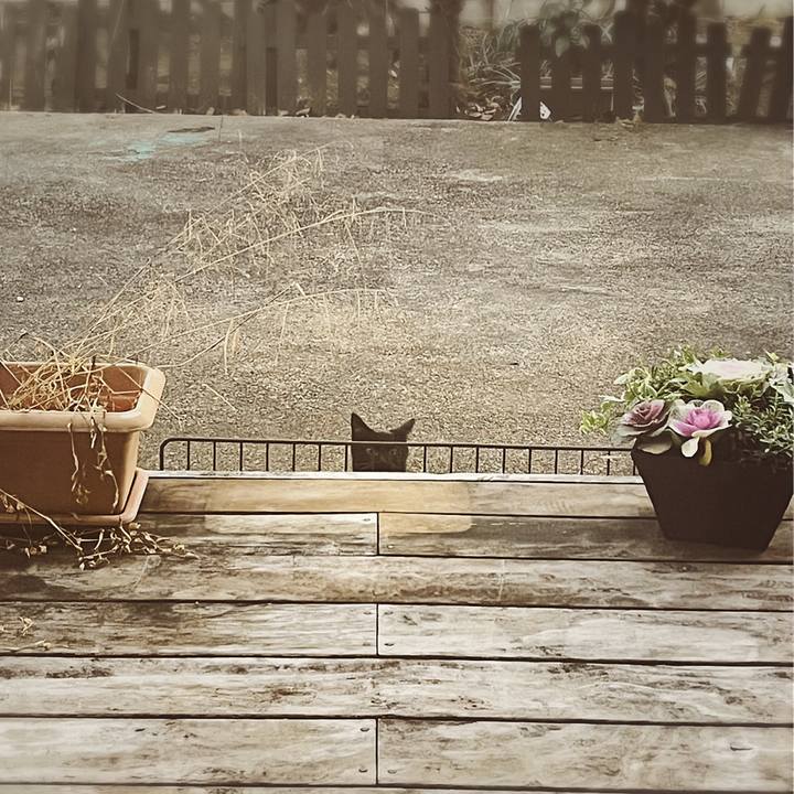 D61be5b1 9081 4577 8462 b38d6e6e6fbb 1641289709113