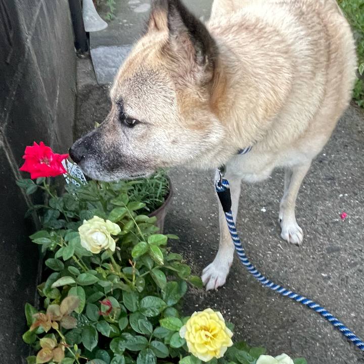 D61c0e07 15b2 4859 a1b6 9d38d6d1737c 1660569513922