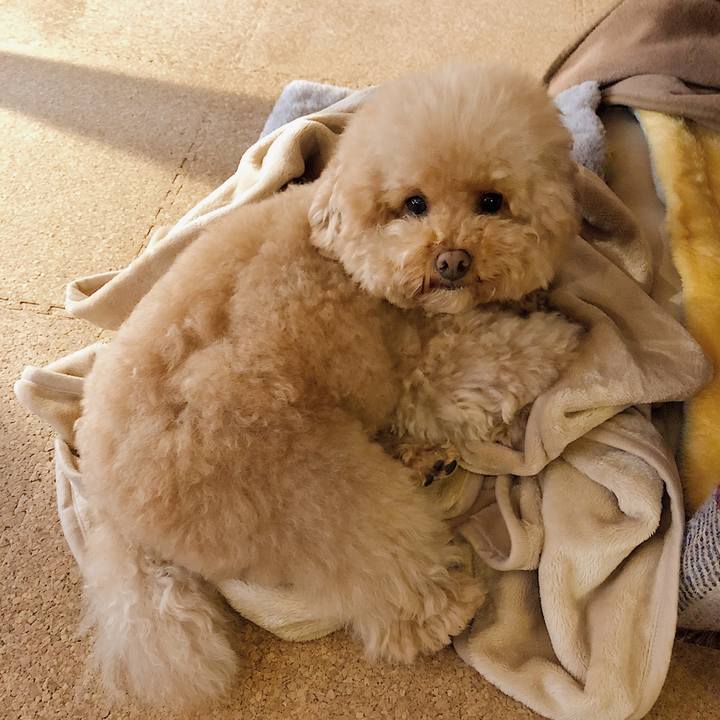 D61c1efb 6824 4c9f 8c37 61184464956e 1512438856507