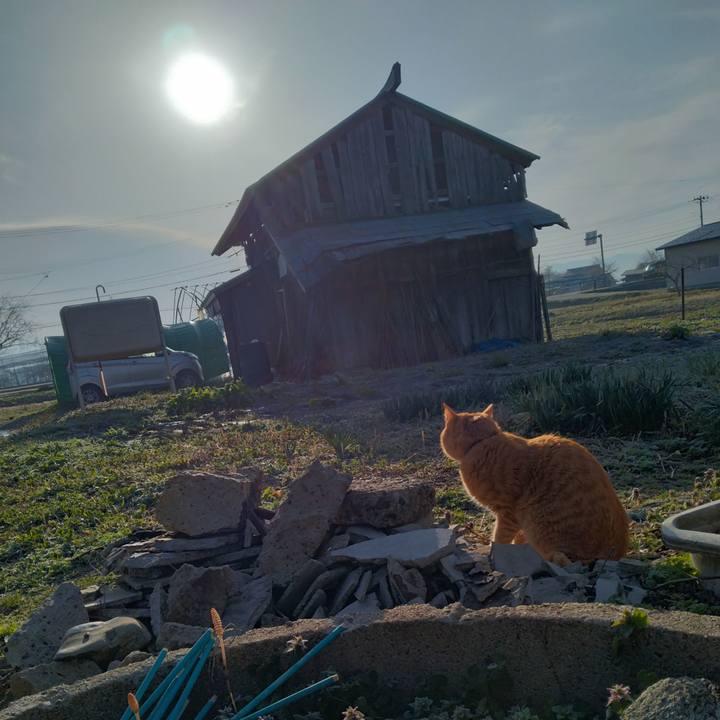 D61c5691 57f4 4b2d 860f 494ccd8ab47e 1681080257781