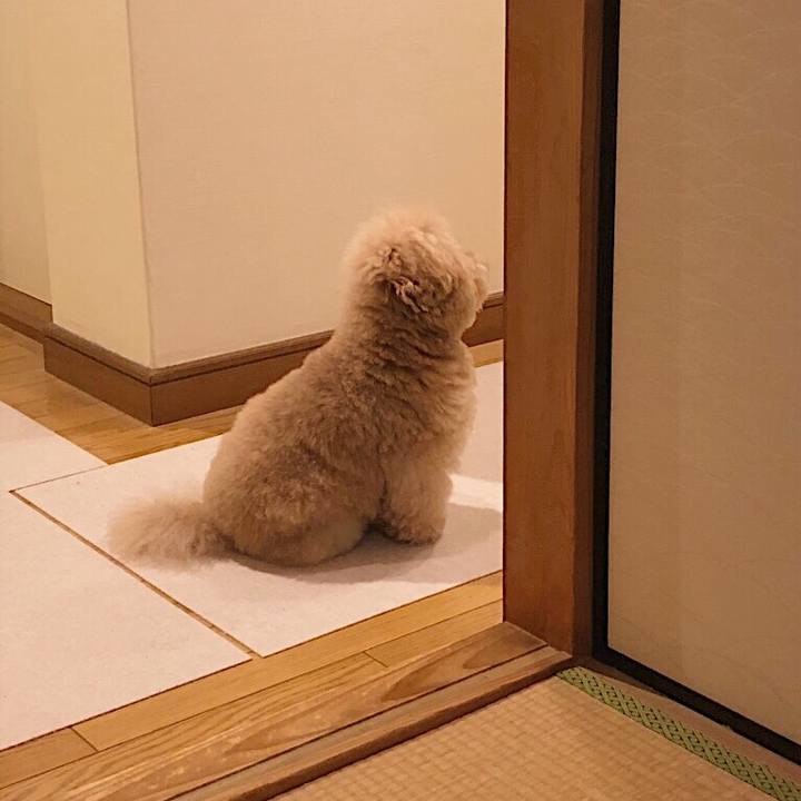 D61cc81a 1040 4d53 8dec fae2d0998f1f 1537258535710