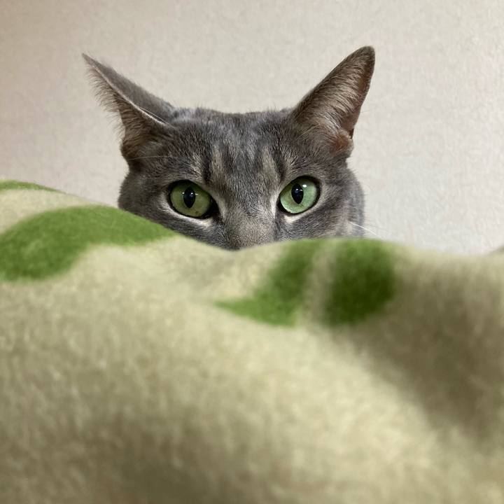 D61cea4e 9414 4f93 90ac c63eec45f301 1611312070100