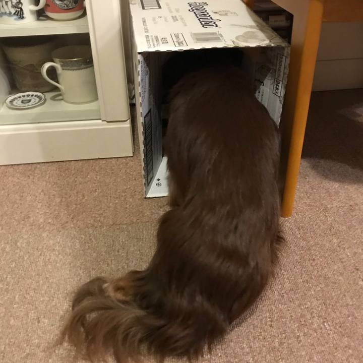 D61d5116 c158 4731 b258 6208612abeb3 1599388490223