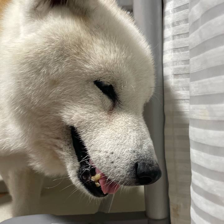 D61d77ba 0948 45fa ac19 cfae1731353b 1763644352457