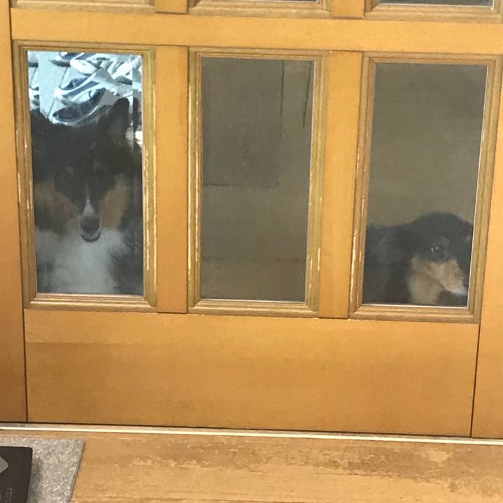 D61d9348 5d78 4ef4 b76c 645dd7c5848b 1537221229993