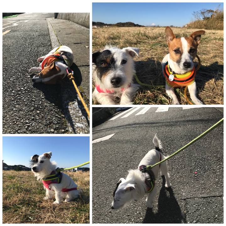 D61da1a7 aa4f 481e b504 2257ec21dbac 1512954234304