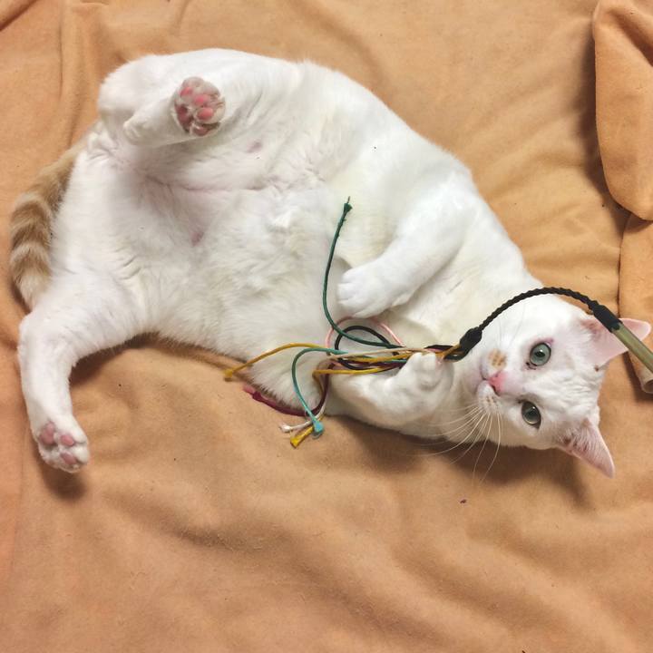 D61da5bd a310 4c76 98f5 aa4ce6fdf2ce 1575901527916