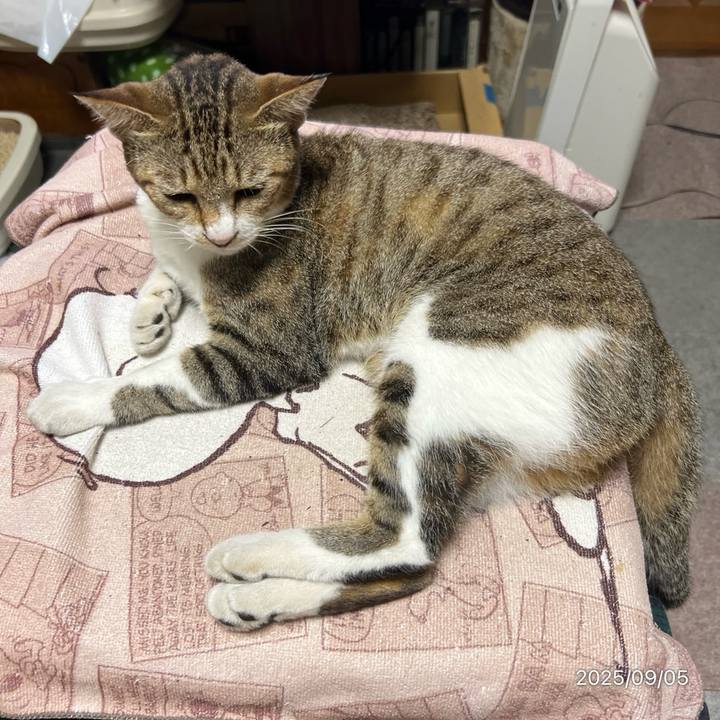 D61dafb7 d53b 4f99 8287 45ac510fe8be 1757024438064