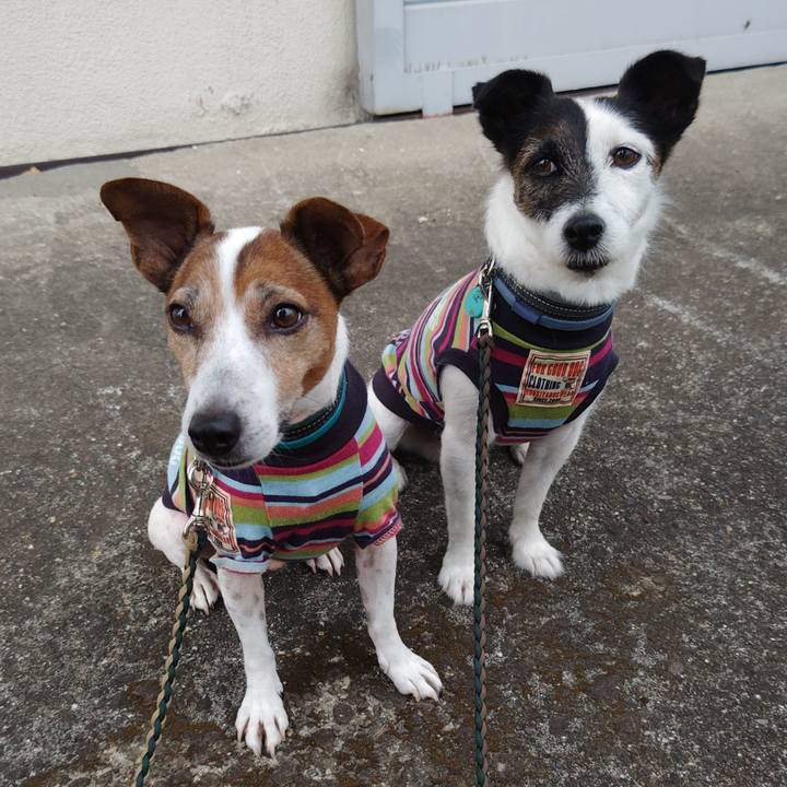 D61e3a90 c74c 4437 895c 0cadde9ea6ed 1756937775442