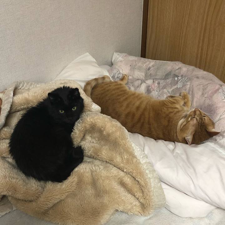 D61e45d6 2fcb 4e50 9704 47336237f808 1609845171622