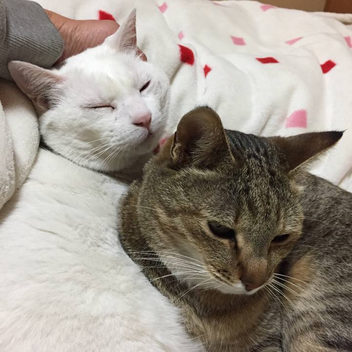 D61e47db ae78 4242 8af3 dc7d50d07b73 1520343044709