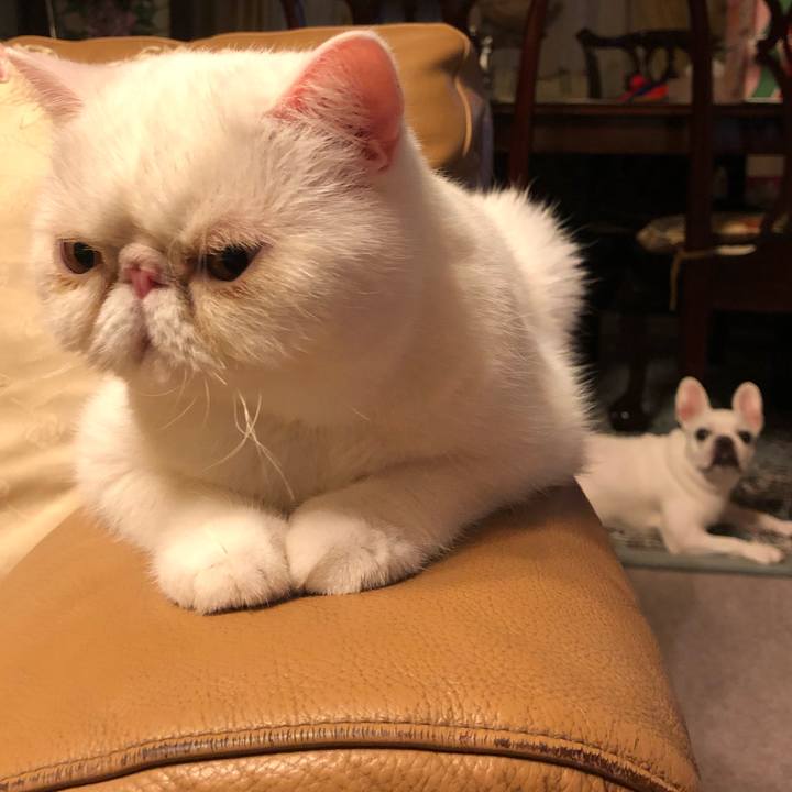 D61e52df 21e3 4567 89cb 928ddecab786 1662978060228