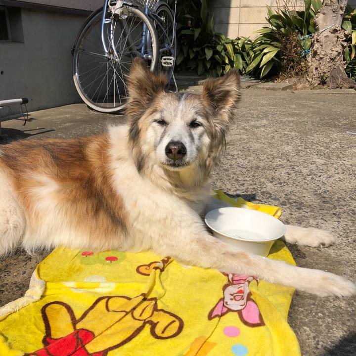 D61e5b6d 7393 463f 935d 8df5066d5c9c 1519443373509