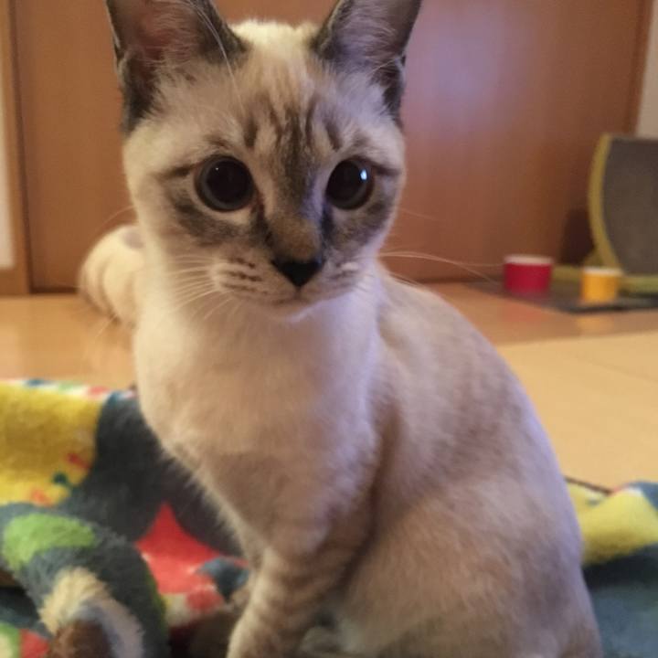 D61e6fa1 cc32 4c97 b545 da739d87e834 1542801041310